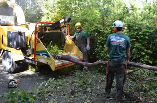 tree services Idaho City